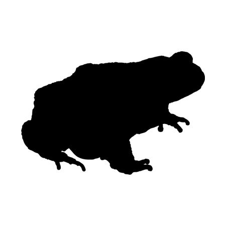 Toad Iron on Decal